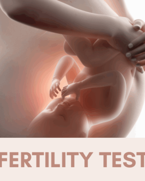 Fertility Test
